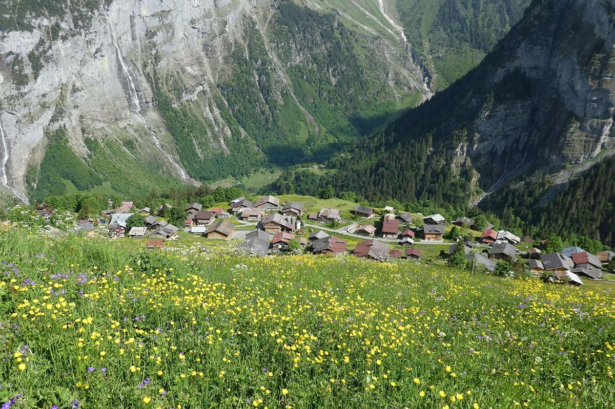 Gimmelwald jungfrauregion