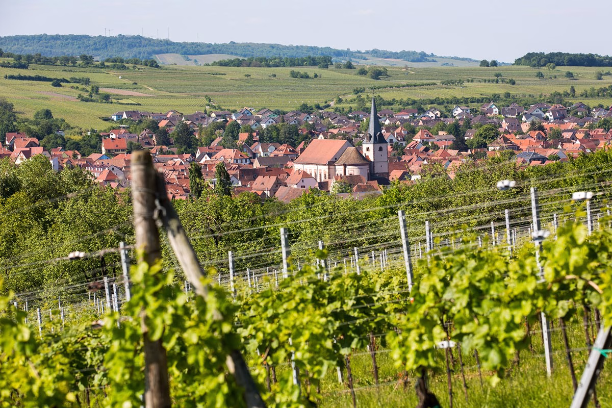 Χριστούγεννα στο Στρασβούργο: Ένα Όνειρο Ζωντανεύει 42 Route des Vins d Alsace jpg