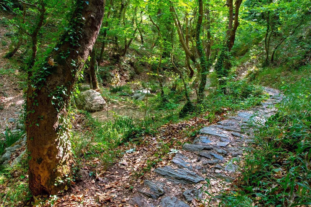 Γνωρίστε την Πορταριά - Το Χωριό του Πηλίου που Αγαπάει Όλες τις Εποχές 22 Πορταριά