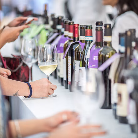 Οδηγός για το Άστι: Ανακαλύπτοντας την Καρδιά του Οινοτουρισμού στο Πιεμόντε 27 Douja d'Or