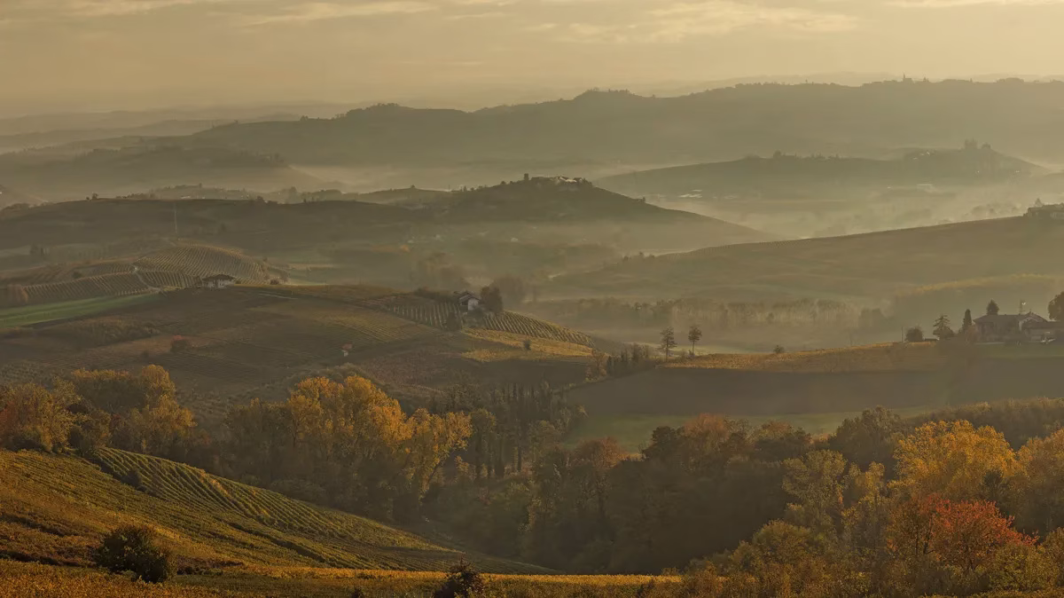 Οδηγός για το Άστι: Ανακαλύπτοντας την Καρδιά του Οινοτουρισμού στο Πιεμόντε 25 Αμπελώνες και Οινοποιεία για Επίσκεψη