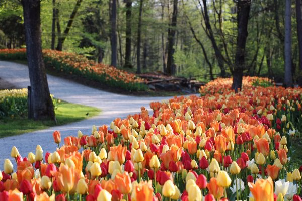 Βοτανικός Κήπος Volčji Potok Arboretum