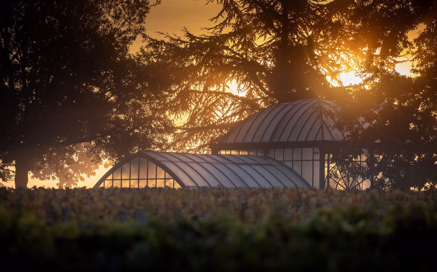 Η Ιστορία του Château Cheval Blanc