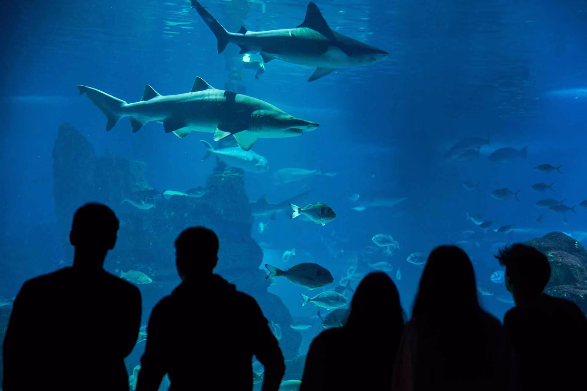 Ενυδρείο Βαρκελώνης