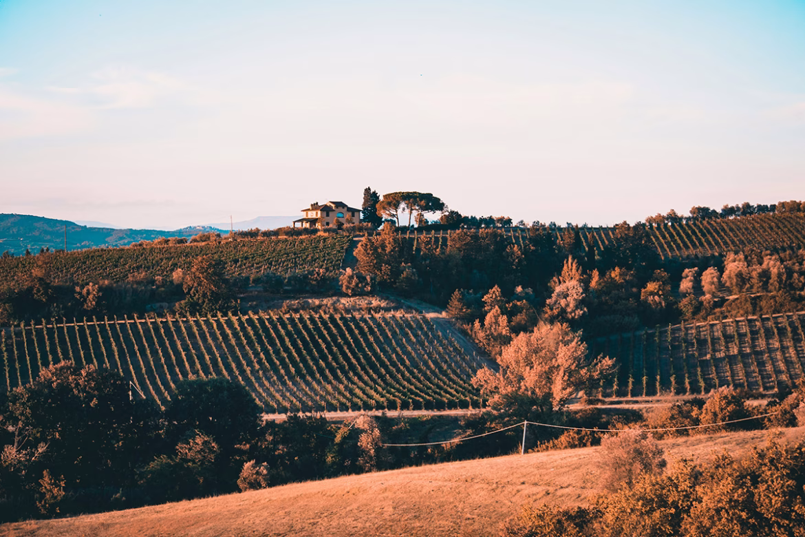 Οινοτουρισμός στην Τοσκάνη από τη Ρώμη